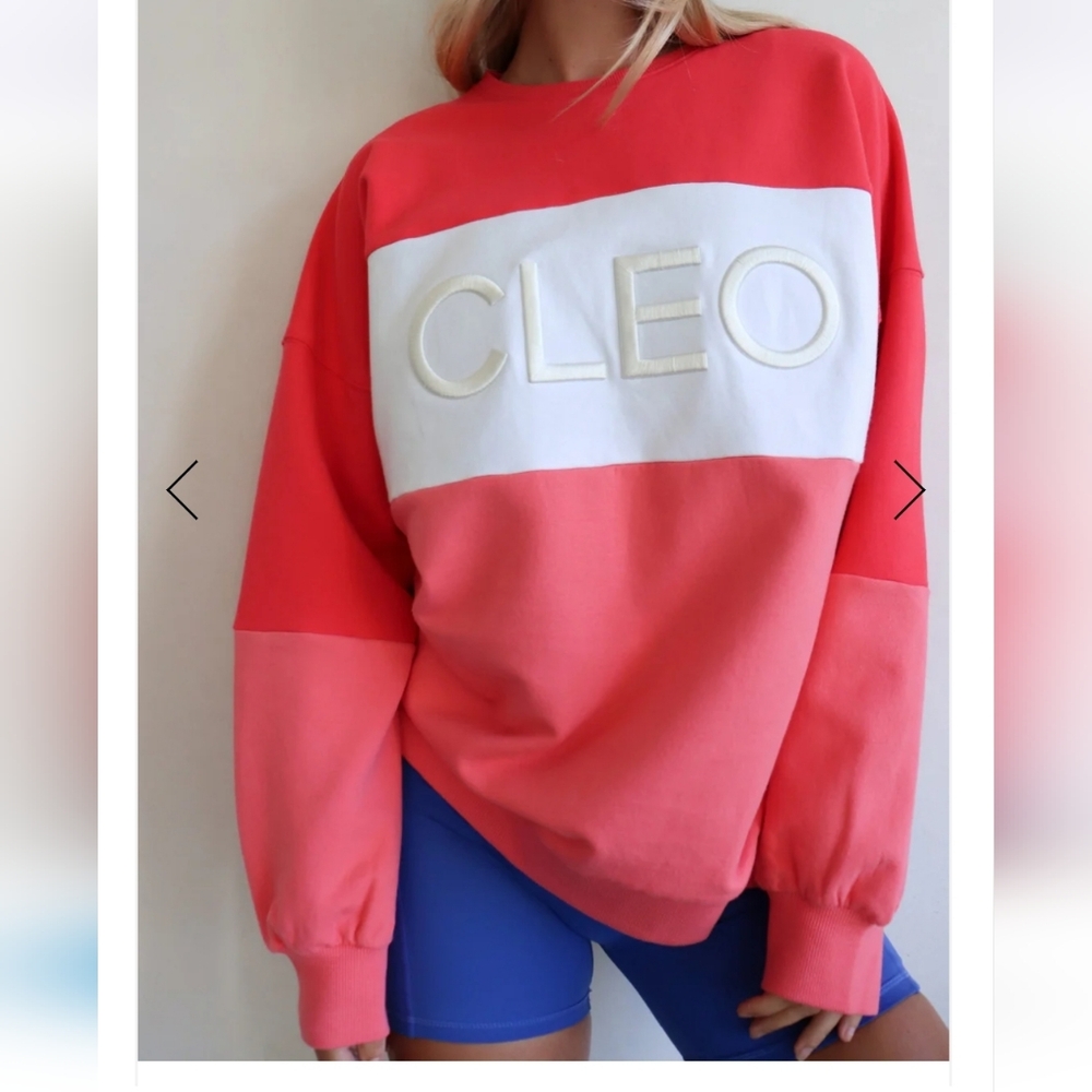 NWT Cleo Harper District Sweater!